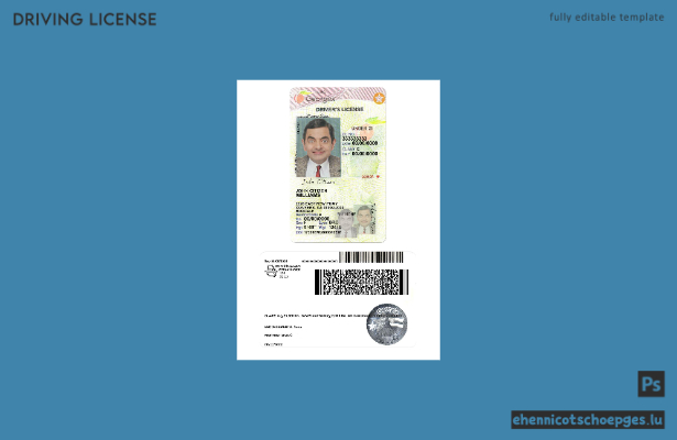 USA Georgia Führerschein unter 21 Jahren 2017-2019 Beispielvorschau